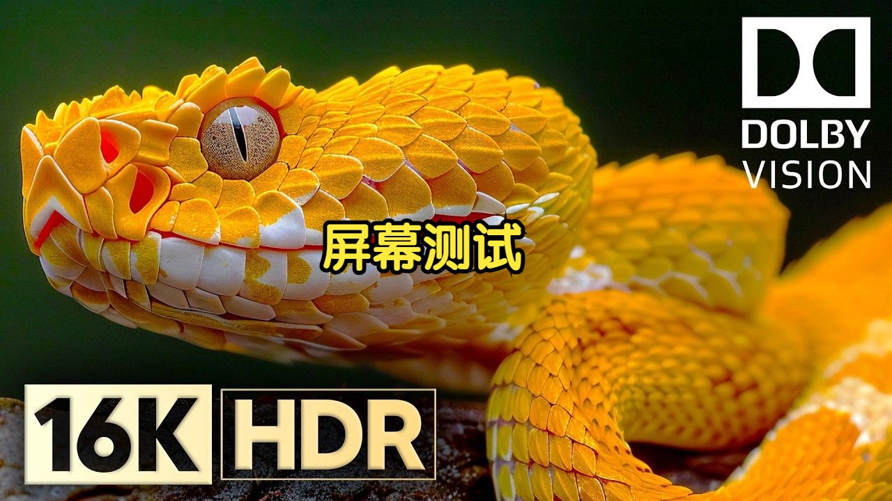 【4K HDR】Next Level of Dolby Vision 4K HDR 240fpsI屏幕测试,极致画质|杜比视界|电视屏幕测试|手机屏幕测试 |哔哩哔哩bilibili