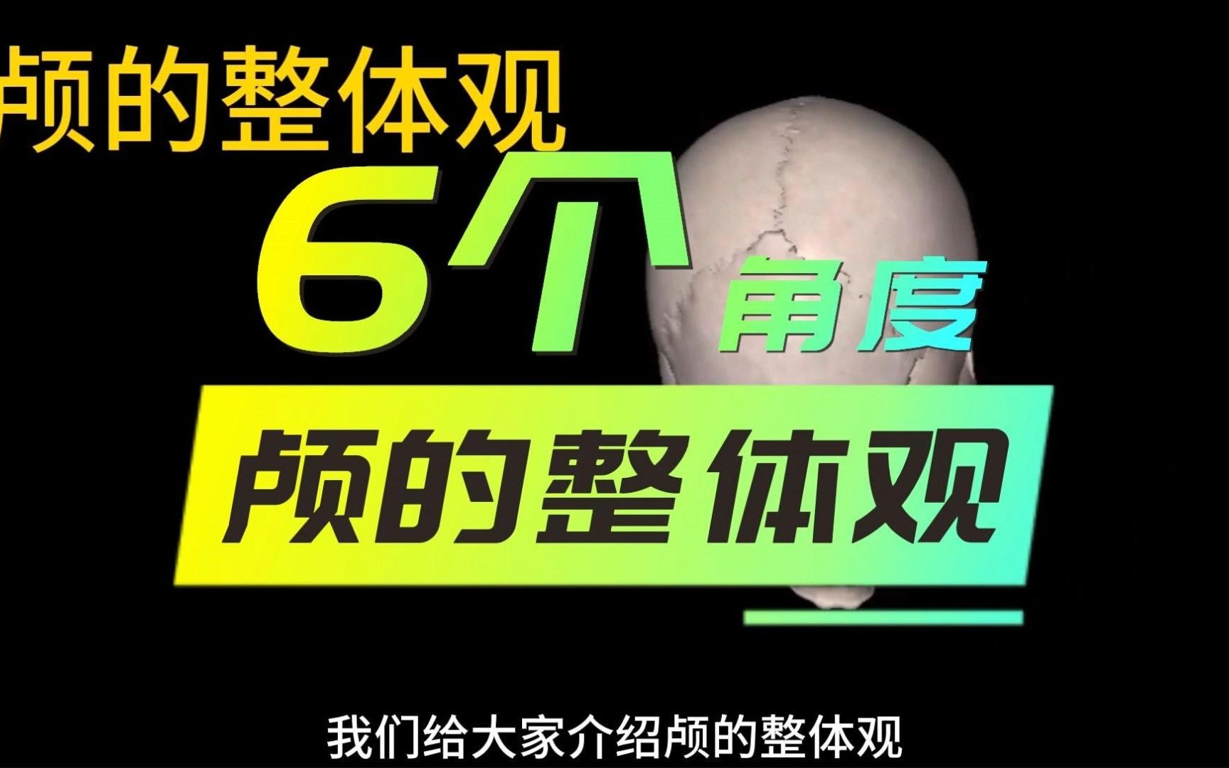 颅的整体观，6个角度，人体解剖学运动系统骨学