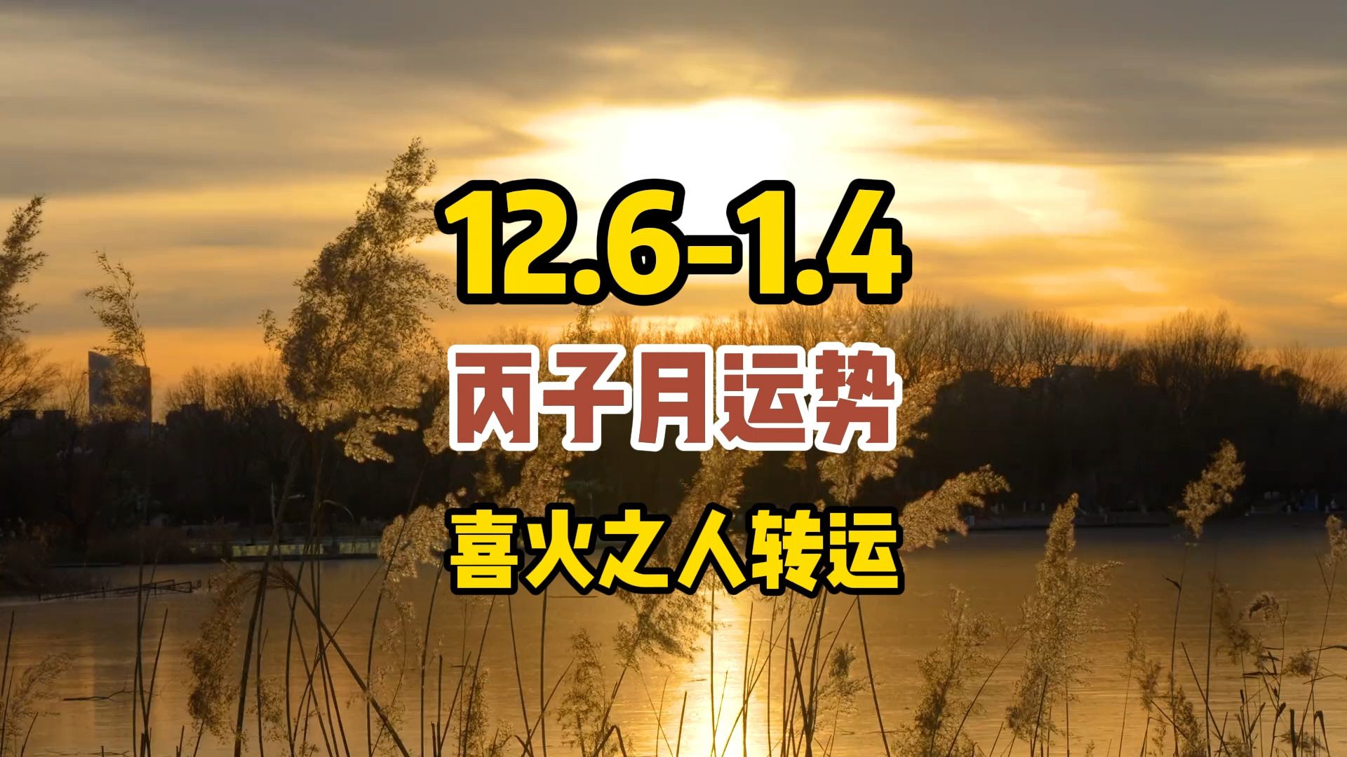 丙子月运势(12月6日1月4日)哔哩哔哩bilibili