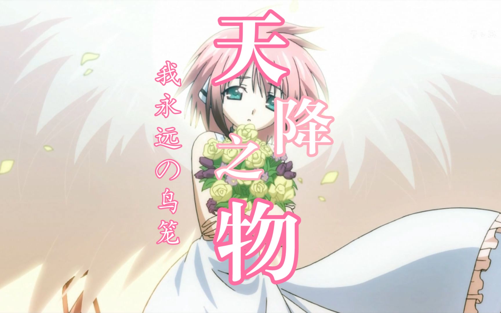 活动作品天降之物十二年我永远的鸟笼