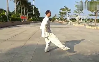 杨式太极拳 哔哩哔哩 Bilibili