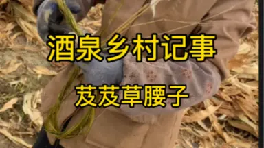 芨芨草-哔哩哔哩_Bilibili 芨芨草-哔哩哔哩_Bilibili