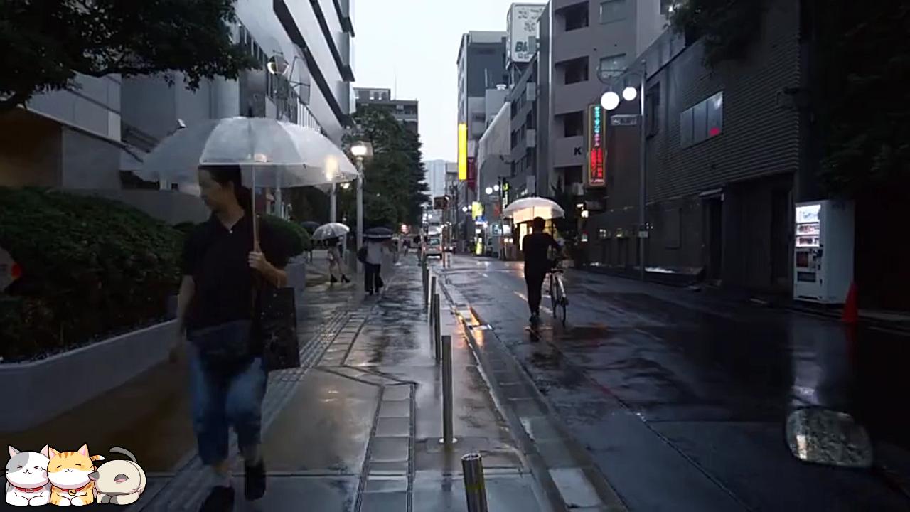 [图]睡眠辅助，东京新宿，第一视角，雨中街头漫步，无解说，街头噪音，