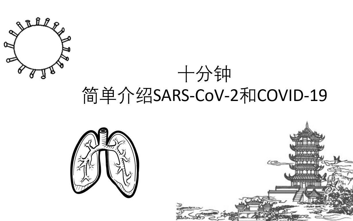 [图]十分钟简单介绍SARS-CoV-2和COVID-19