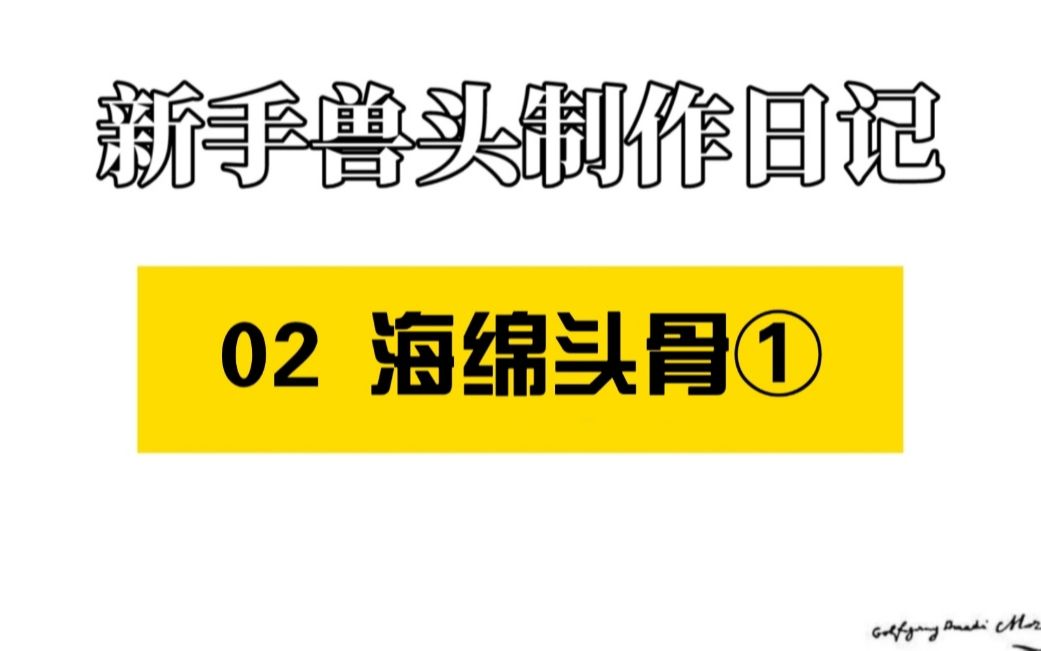 【兽装制作】新手兽头制作日记2——海绵头骨的简单搭建哔哩哔哩bilibili