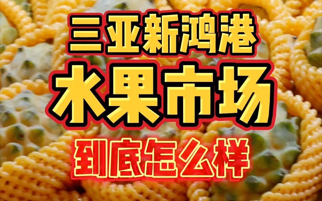 你们要的海南三亚「新鸿港水果市场」逛吃攻略来啦!哔哩哔哩bilibili