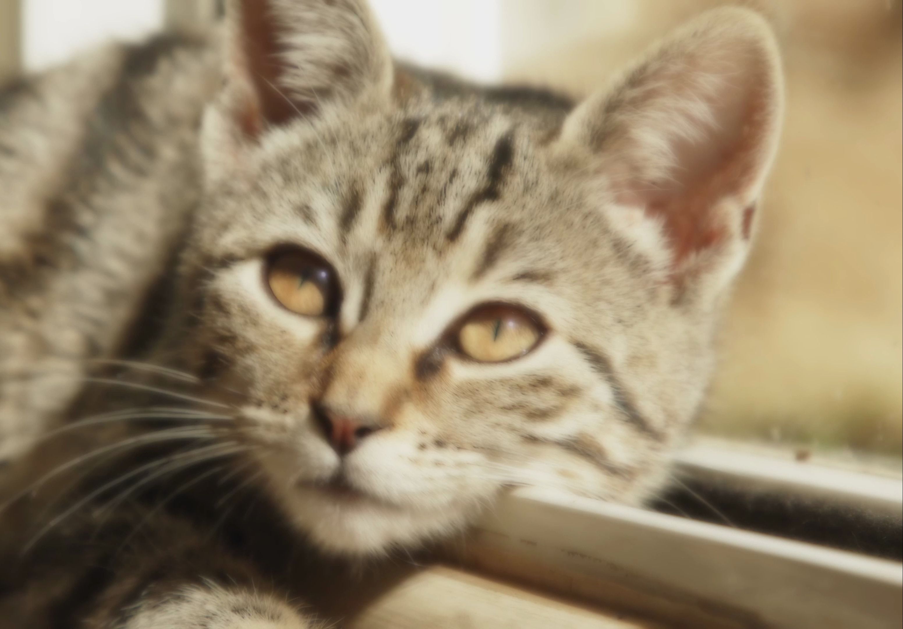 【瓜鱼欧尼酱】念念不忘,必有回响.