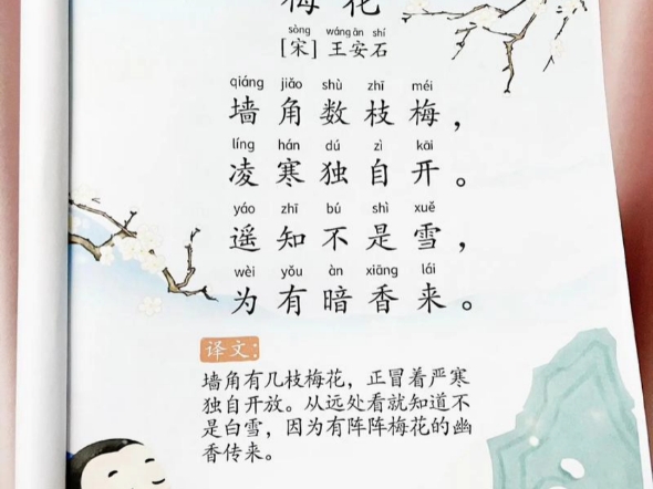 古诗梅花哔哩哔哩bilibili