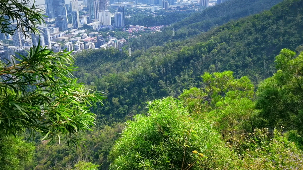 深圳市大南山景点图图片