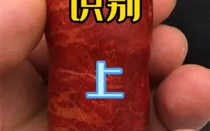 下载视频: 真假红珊瑚分辨，识别草珊瑚