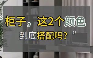 下载视频: 柜子，这2个颜色搭配吗？#衣柜#家居搭配#装修#柜子#书柜