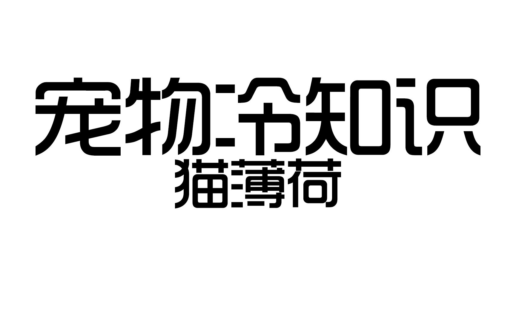 为什么猫薄荷如此让猫痴迷?哔哩哔哩bilibili