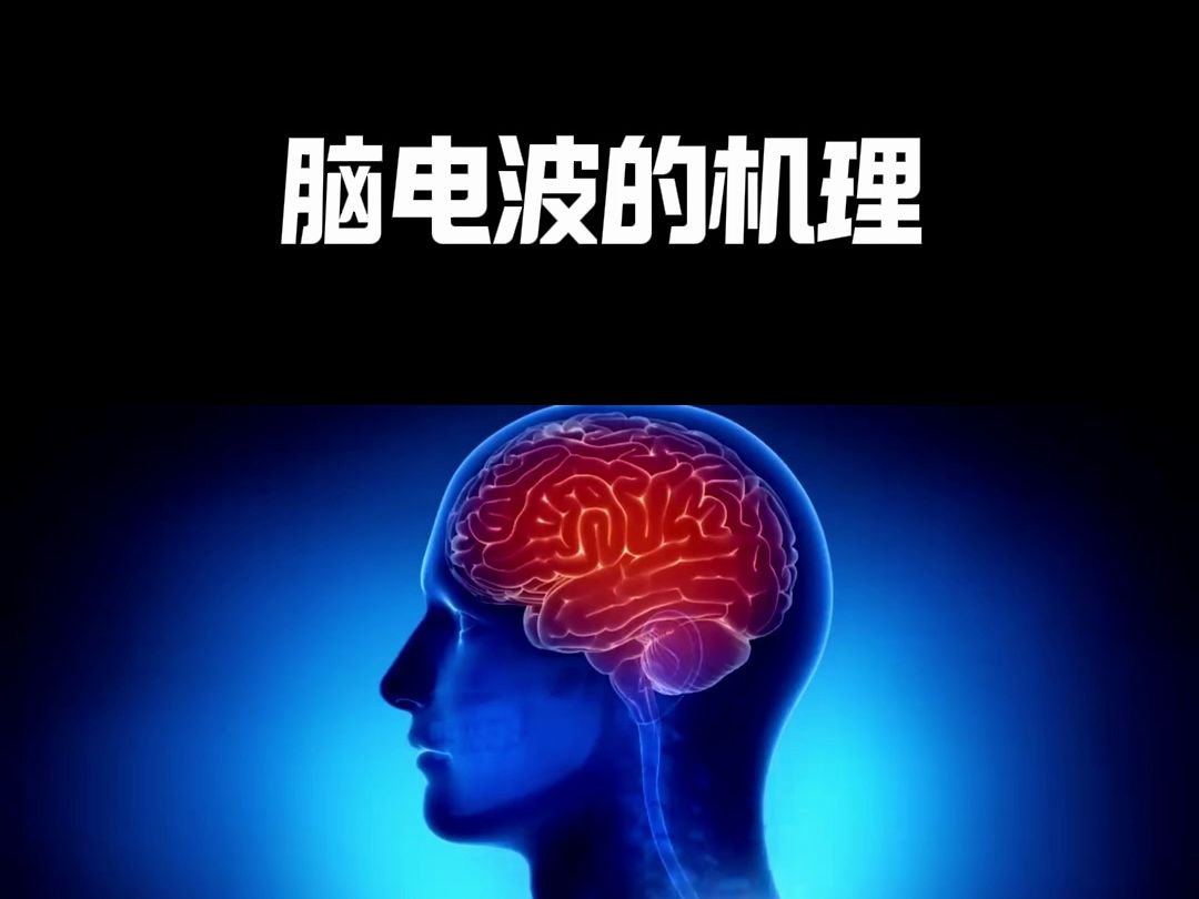 脑电波的机理哔哩哔哩bilibili