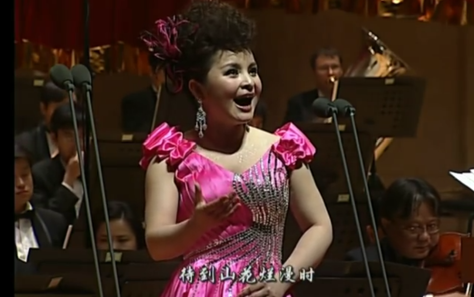 吴碧霞《卜算子 (咏梅)》2010爱心音乐会