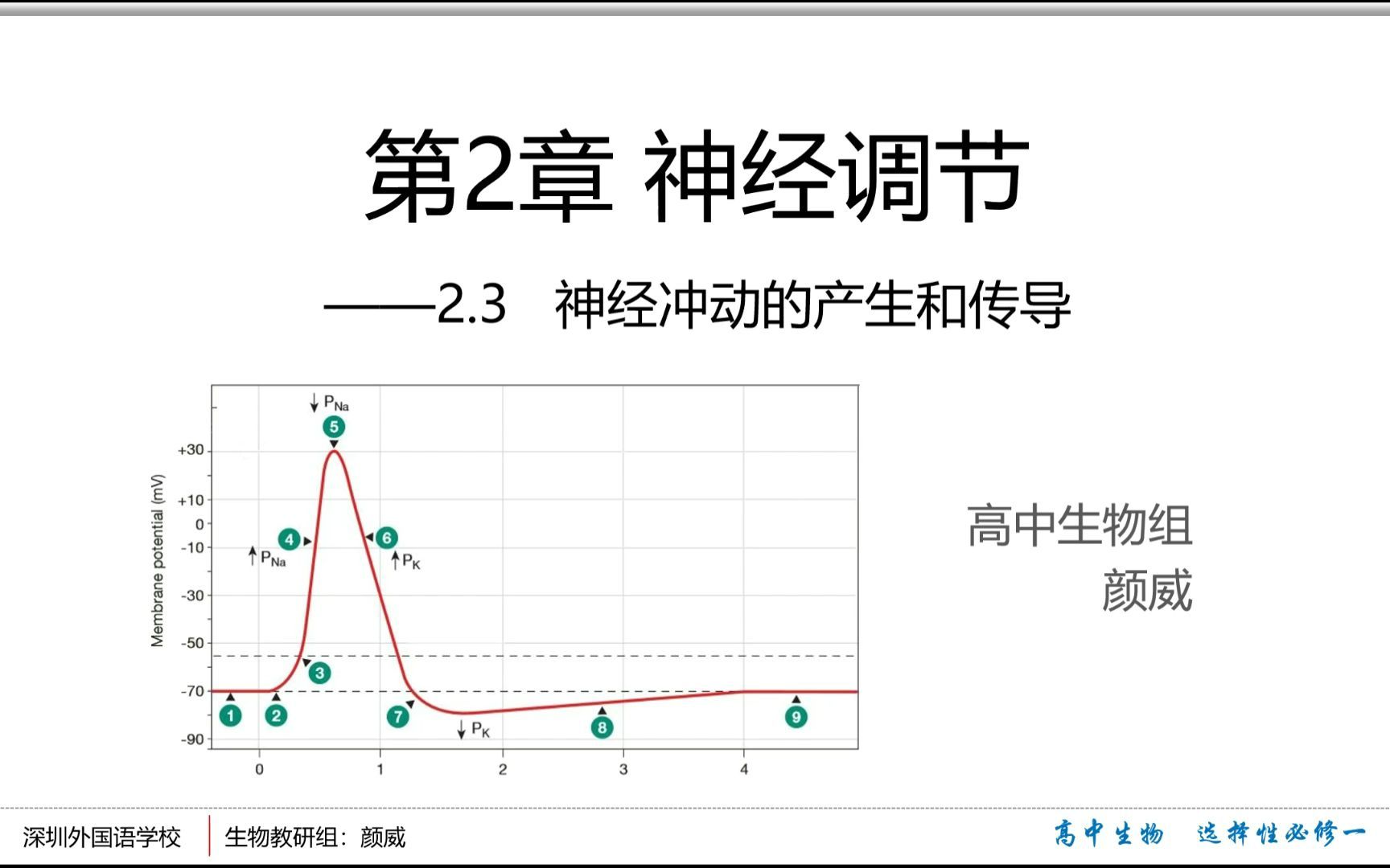 [图]【人教社高中生物选择性必修一】神经冲动的产生和传导 第1课时：静息电位的产生