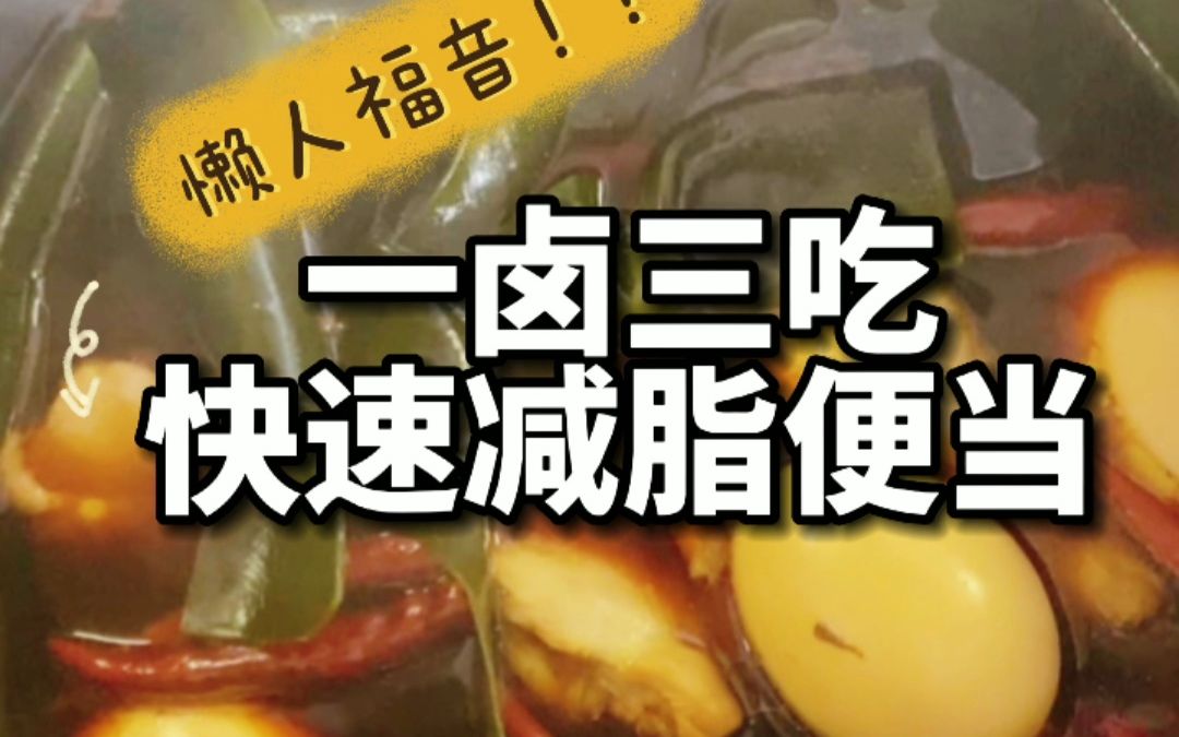 【低卡】1个电饭锅卤味,搞定3种减脂便当哔哩哔哩bilibili