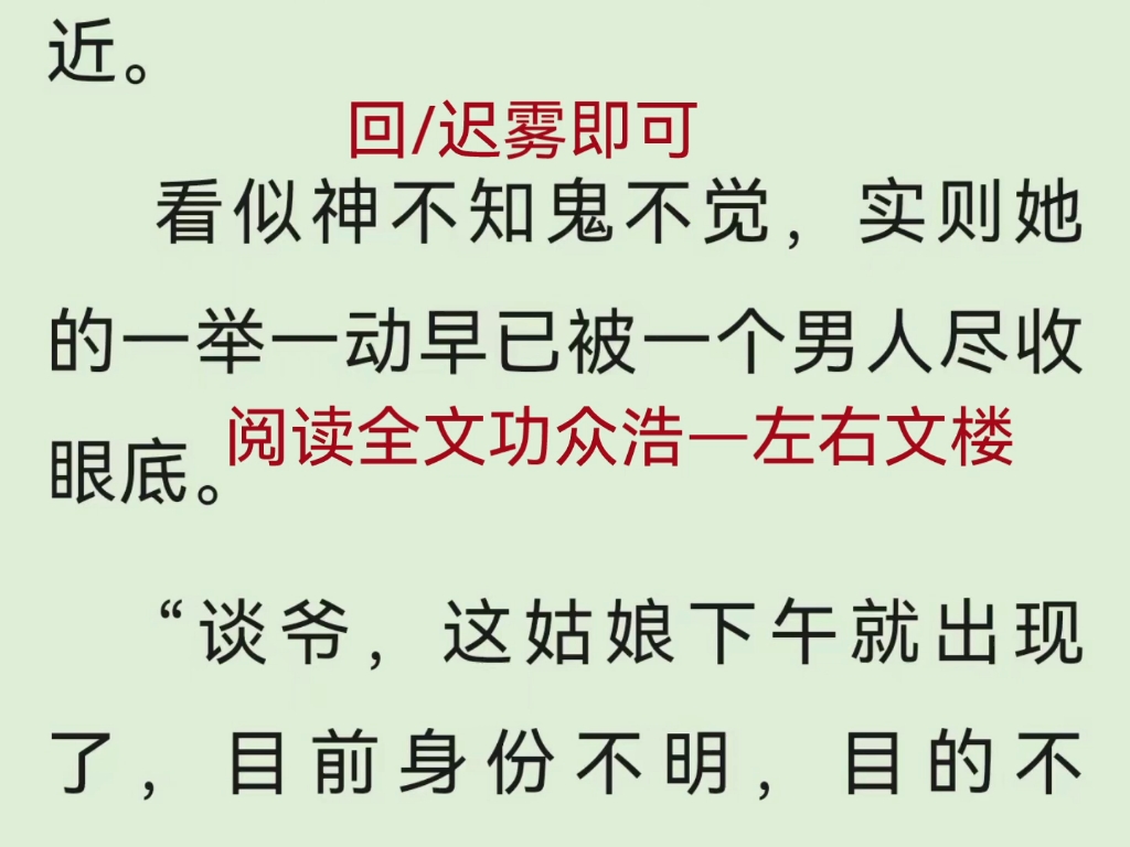 [图]今日推荐小说《迟雾谈屹臣》谈屹臣迟雾