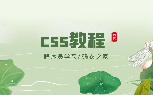 CSS基础视频哔哩哔哩bilibili