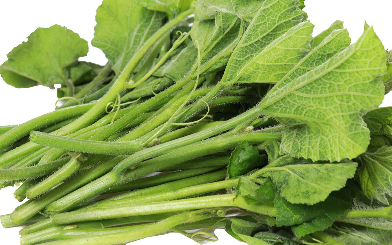 南瓜尖我家连吃3天了比吃肉还舒服教你好吃的做法太下饭了