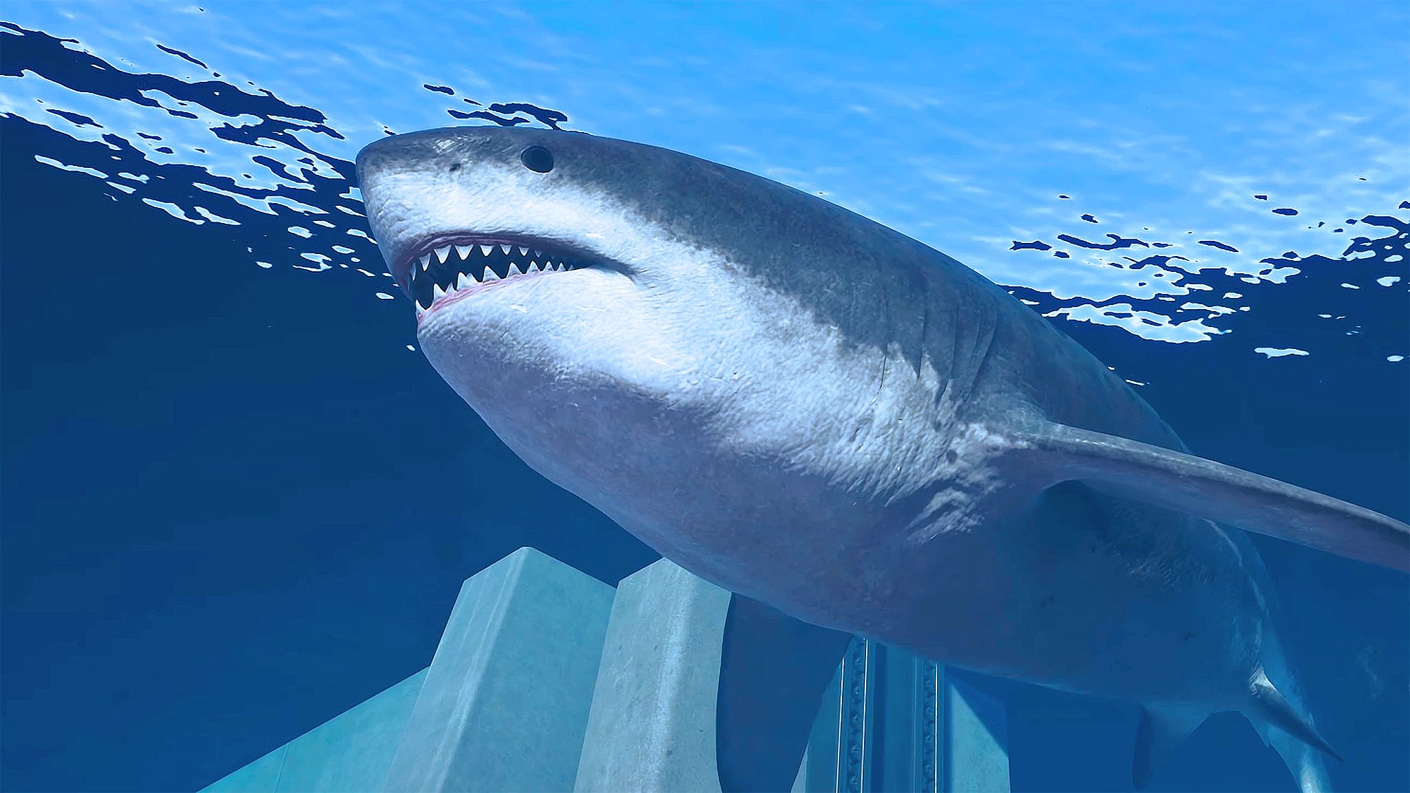 巨齿鲨,沧龙,隐藏在深渊中的巨灵—游戏:侏罗纪世界进化