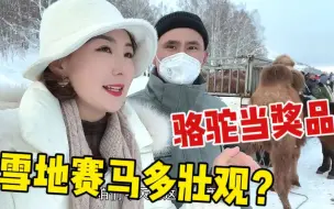 Tải video: 新疆小镇雪地赛马场面壮观!冠军奖励一头大骆驼,一车羊和马作奖品