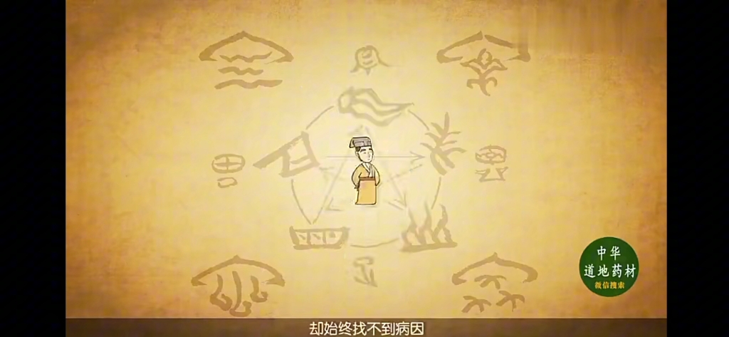 中药胡椒哔哩哔哩bilibili