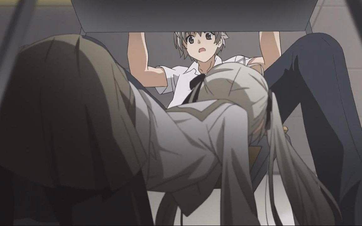 比翼の羽根 bass cover