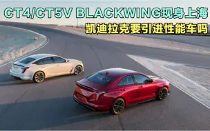 Video herunterladen: 引进了？凯迪拉克CT4V/CT5V BLACKWING黑翼现身上海