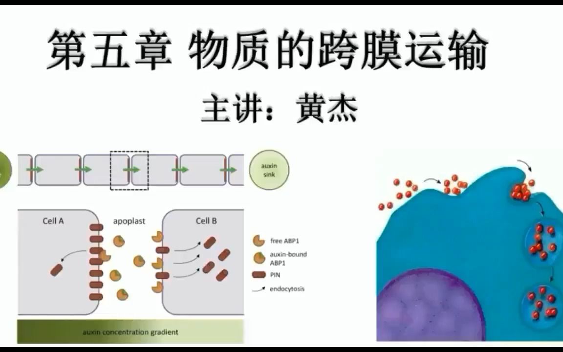 [图]4.2 自由扩散和协助扩散（生物竞赛）（翟中和版）