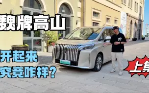 Download Video: 动态体验魏牌高山MPV，它跟想象中不太一样，小心机目的性很强