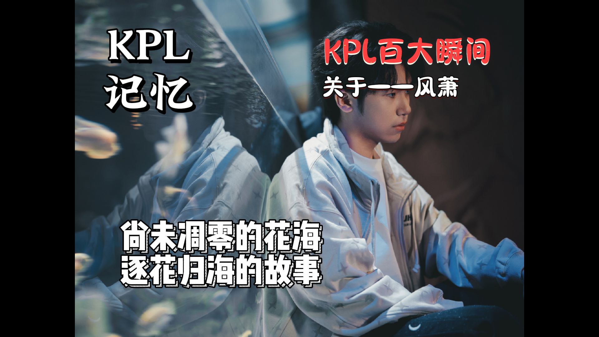 【kpl百大瞬间】关于——花海 "尚未凋零的花海,逐花归海的故事"