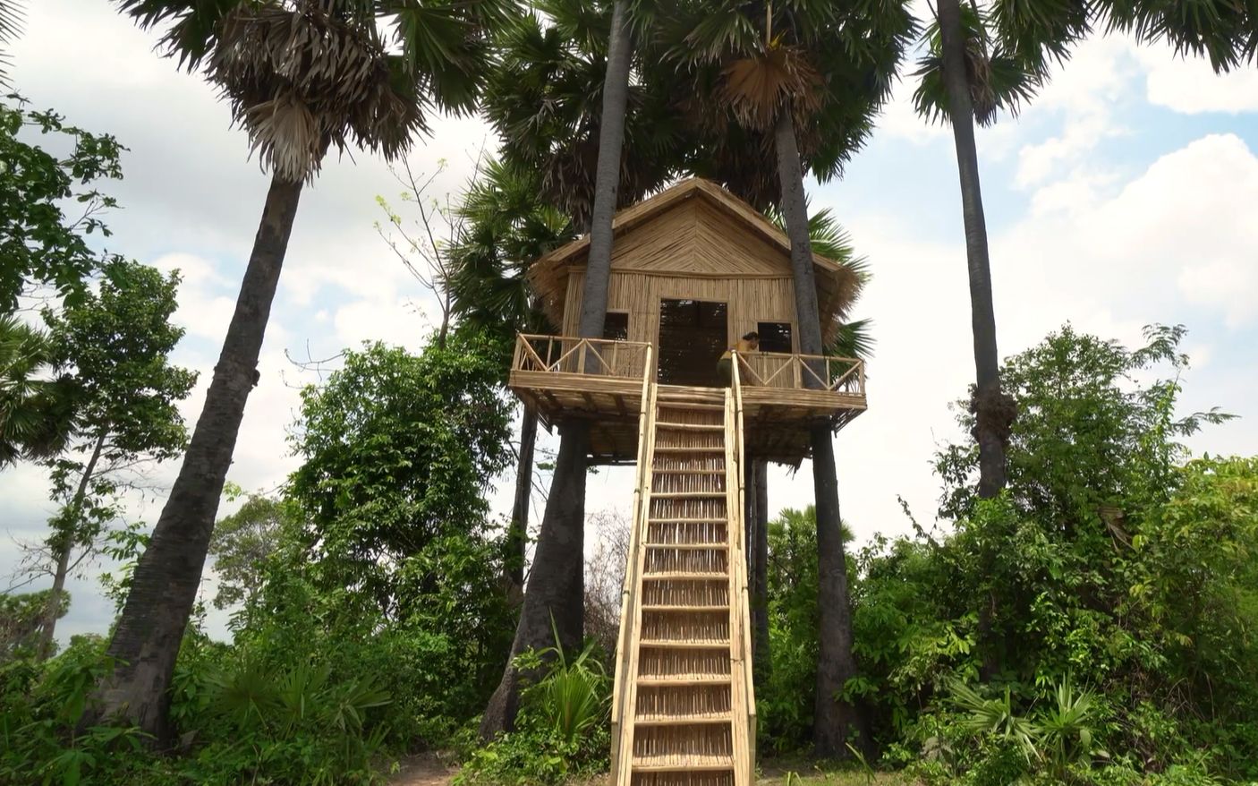 大姐看上的树一棵也跑不掉搭建树屋全过程
