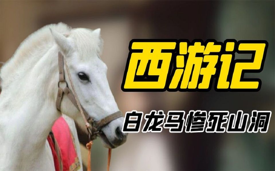 白駒悲歌-西遊記白龍馬慘死全過程,被吸血10年卻屍骨無存.