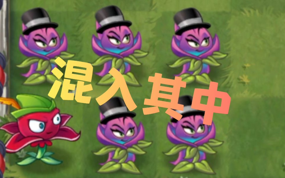 【pvz史诗任务】时空掌握大师——藏红花_哔哩哔哩 (゜-゜)つロ 干杯