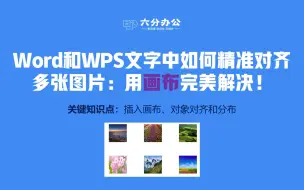 Download Video: Word和WPS文字中如何精准对齐多张图片：用画布完美解决！