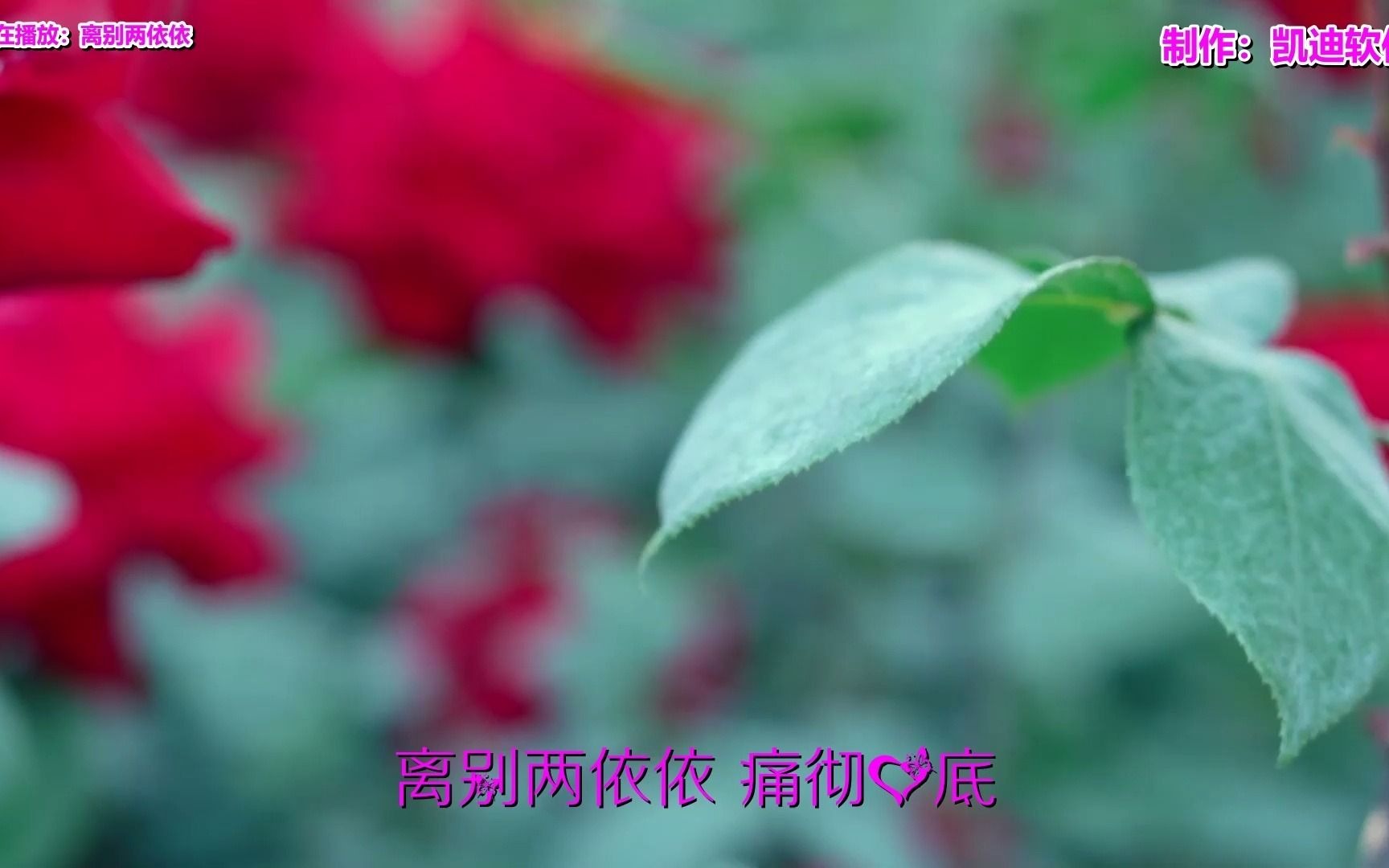 [图]《离别两依依》欣赏，古风视频制作mv