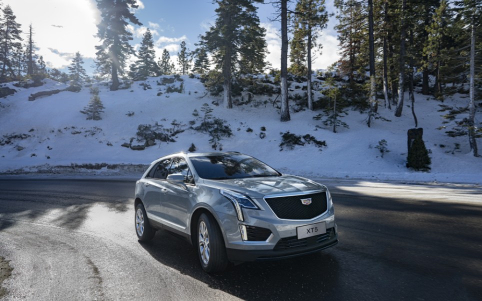 大本写上我的名字,工整又好看#蜂鸟底盘#凯迪拉克xt5曼哈顿灰新色来袭