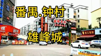 下载视频: 广东省广州市番禺区钟村雄峰城现状