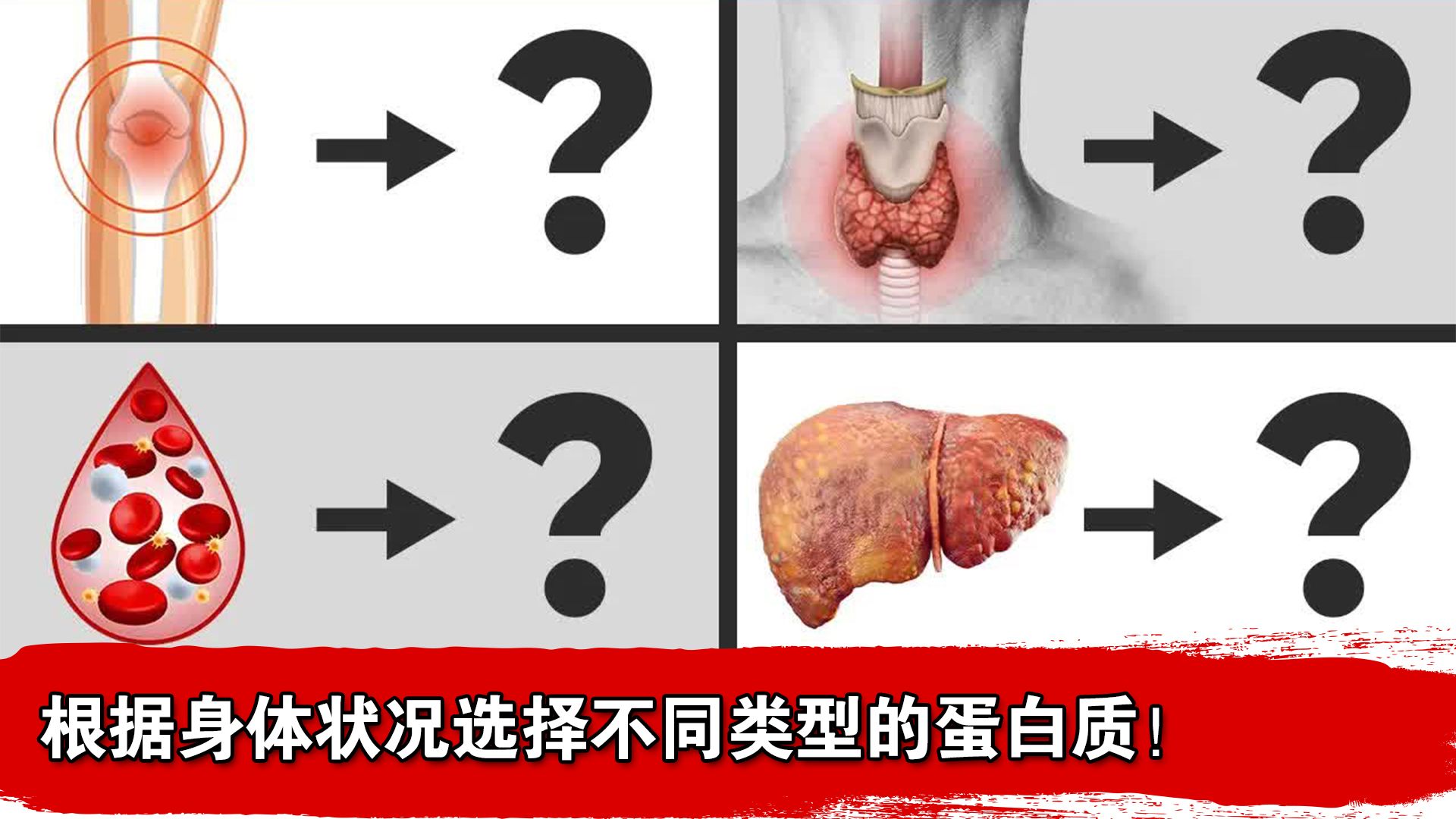 根据身体状况选择不同类型的蛋白质!哔哩哔哩bilibili