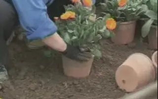 园艺工 哔哩哔哩 Bilibili