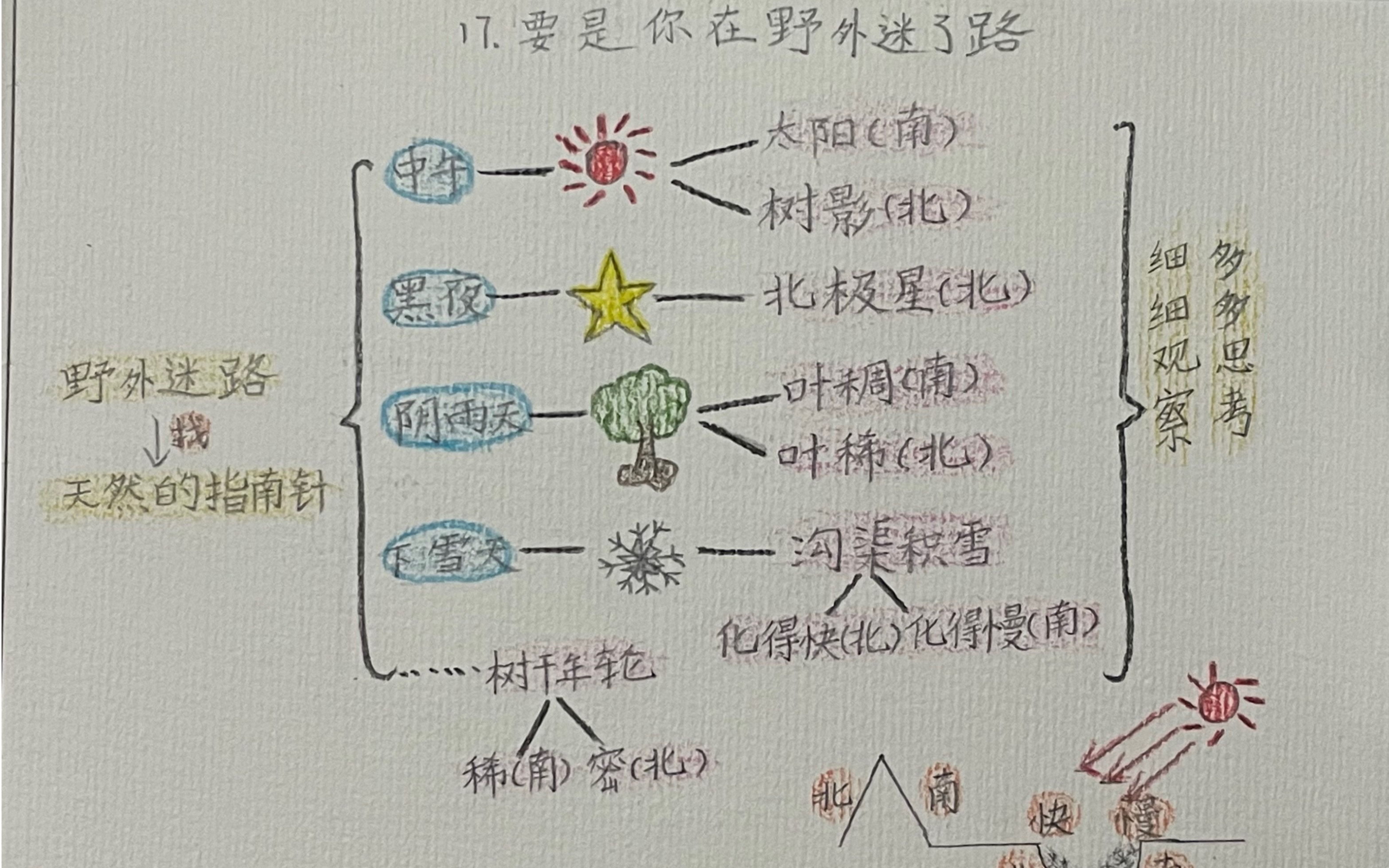 [图]【板书设计】图文并茂，部编本小学语文二年级下册第六单元板书设计