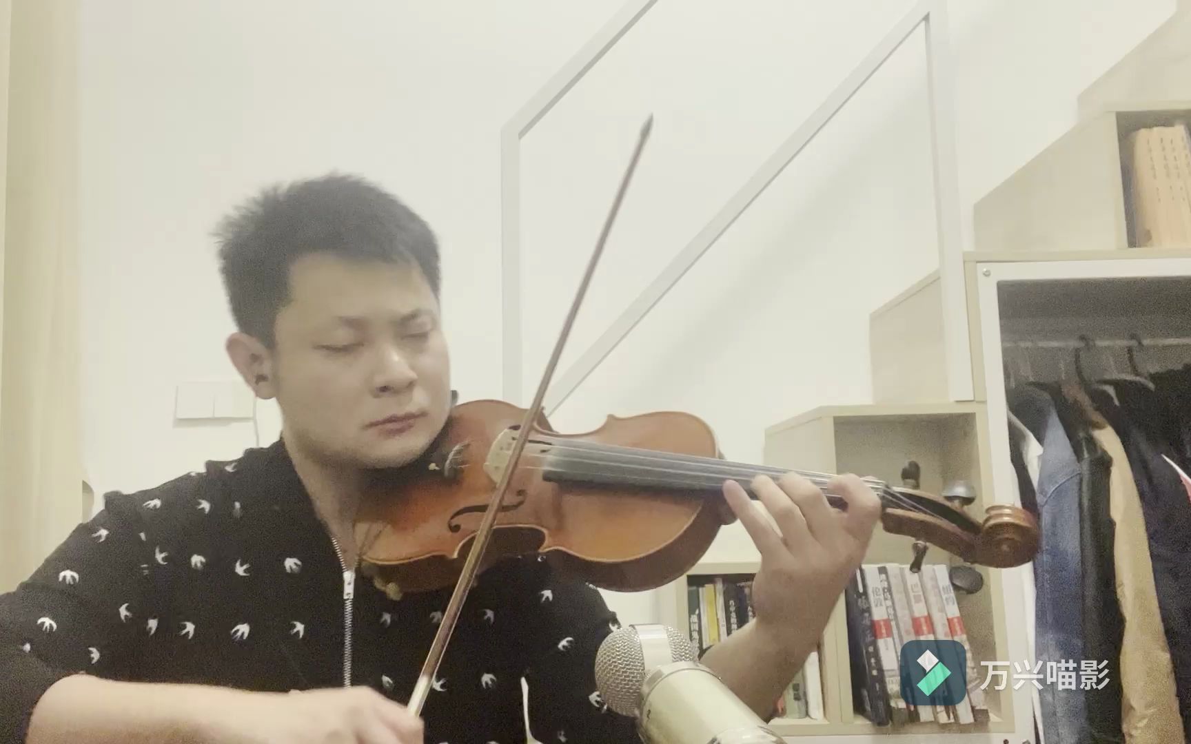 起风了(龙翔的小提琴)-华尔兹波尔卡-华尔兹波尔卡-哔哩哔哩视频