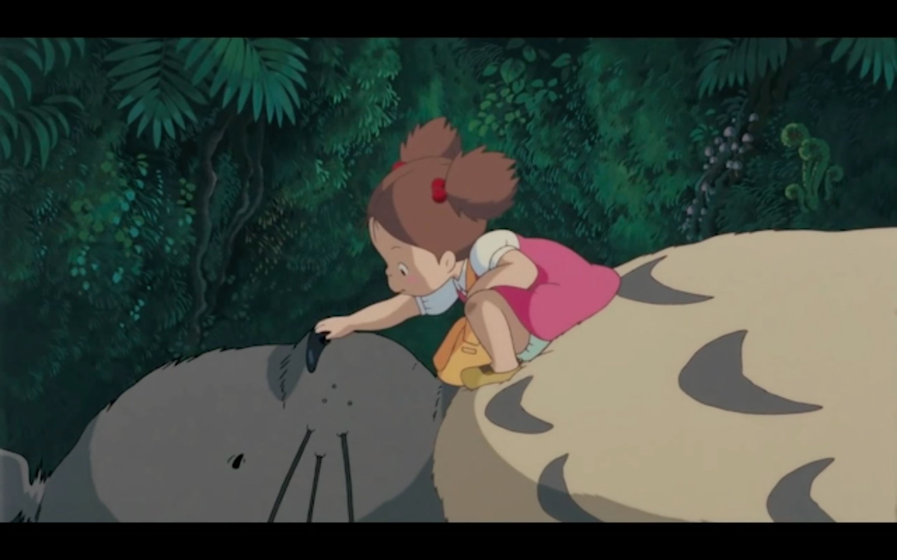 [重温经典] 熊孩子×龙猫 踩点向_哔哩哔哩_bilibili