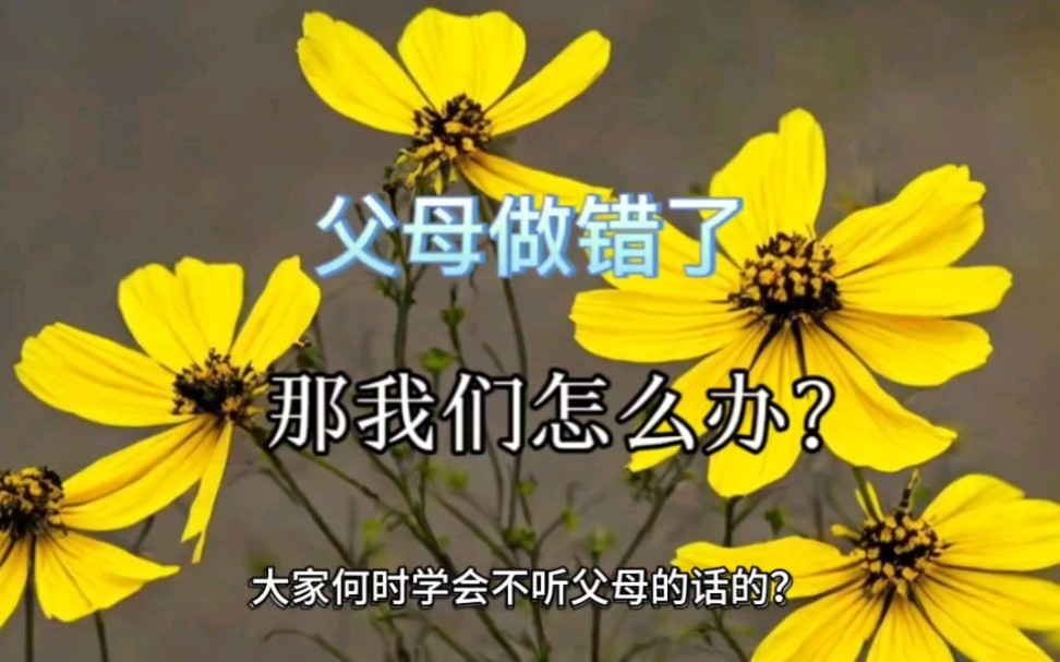 [图]（原创文章）你是否挣扎在原生家庭的过错里？