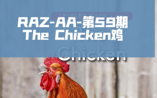 美国原版分级读物RAZAA59The Chicken哔哩哔哩bilibili