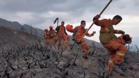 [图]今天，致敬每个为生活努力的人，愿你在奋斗的路上，快乐如初 ……