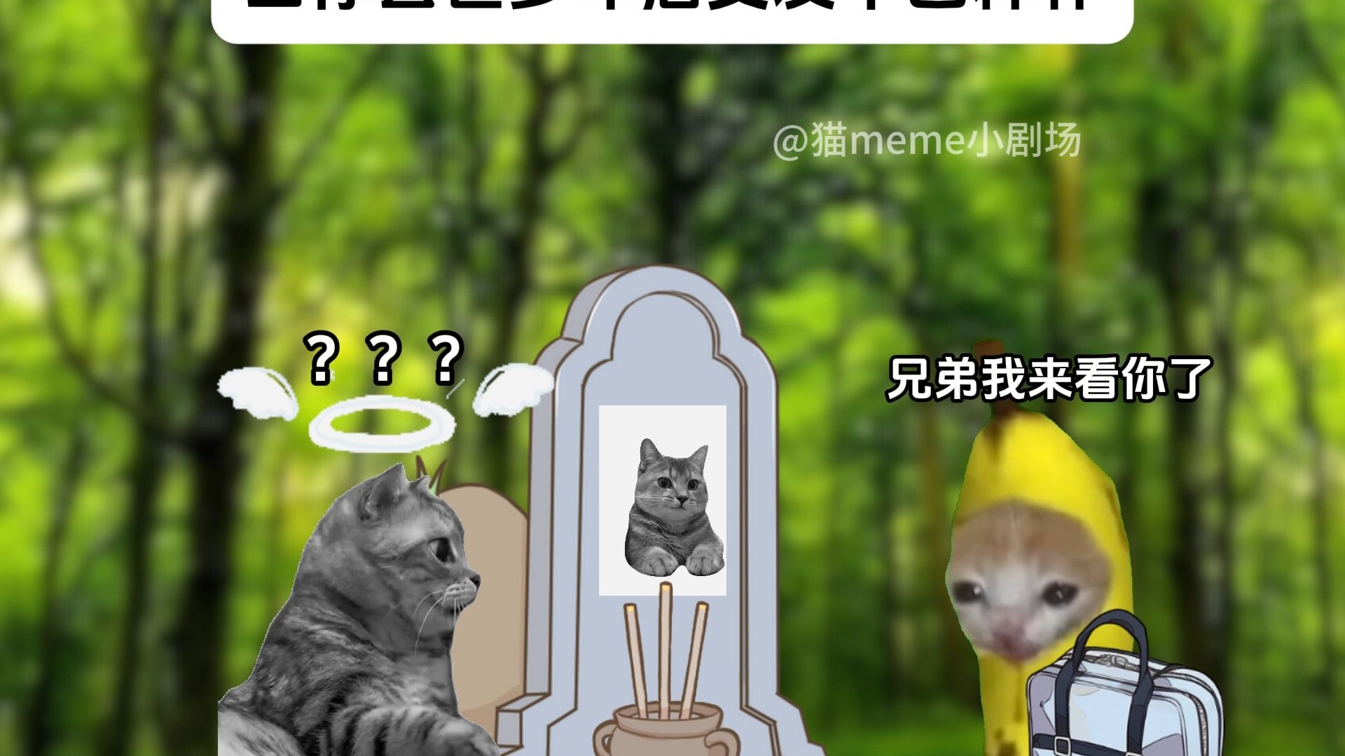 当你去世多年后女友早已释怀-猫meme小剧场0w0-猫meme小剧场0w0-哔哩哔哩视频
