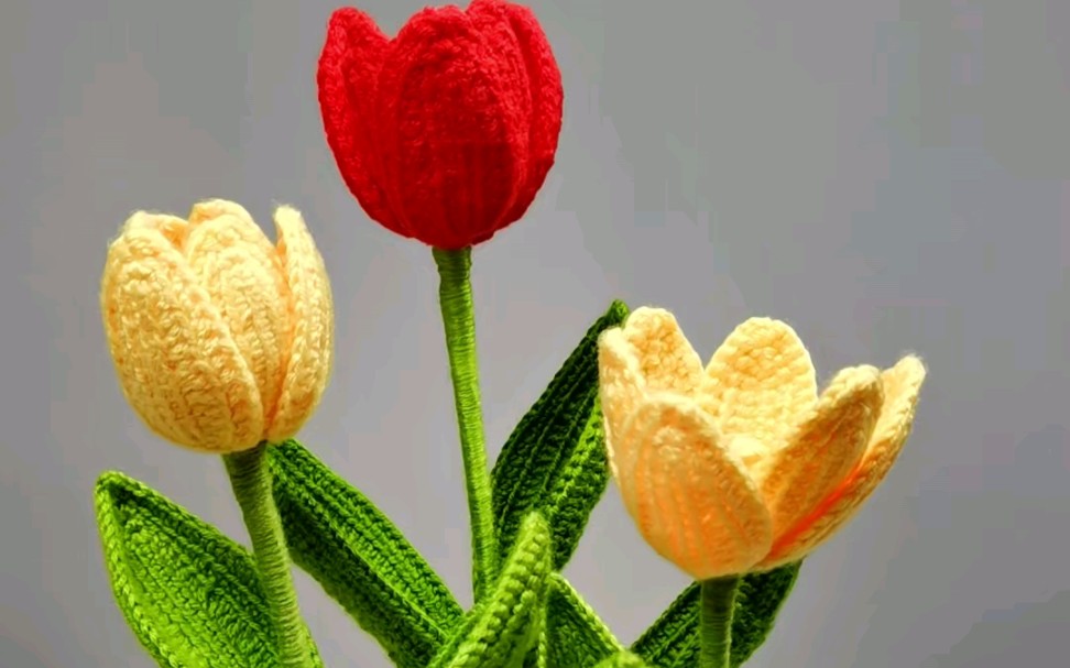 毛线钩织郁金香