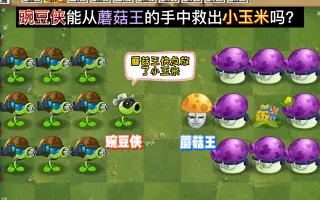 蘑菇王 搜索结果 哔哩哔哩 Bilibili