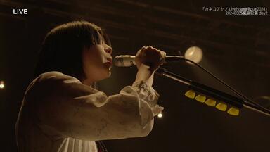 LIVE】カネコアヤノ 20200315 band set YT LIVE_哔哩哔哩_bilibili